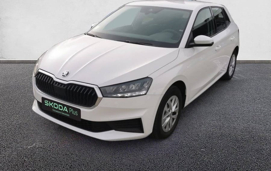 Choisissez votre skoda fabia chez CarGo Flex
