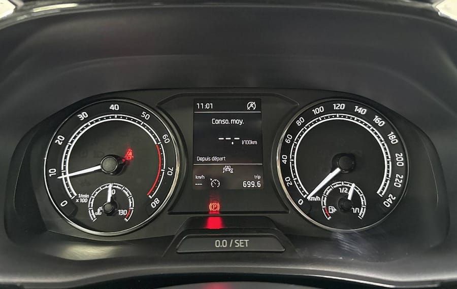 Choisissez votre skoda fabia chez CarGo Flex
