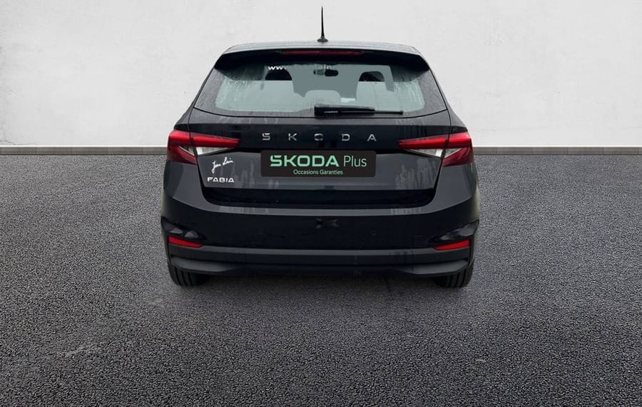 Choisissez votre skoda fabia chez CarGo Flex