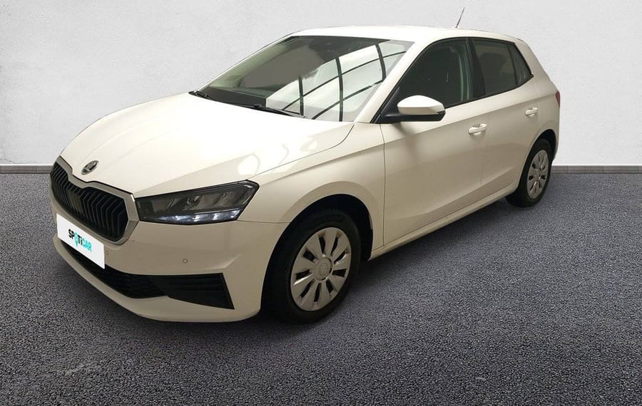 Choisissez votre skoda fabia chez CarGo Flex