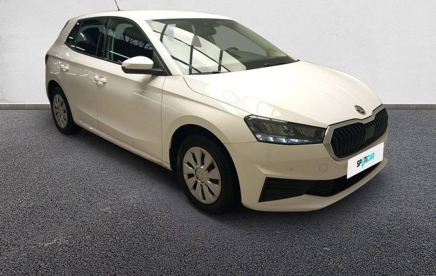 Choisissez votre skoda fabia chez CarGo Flex