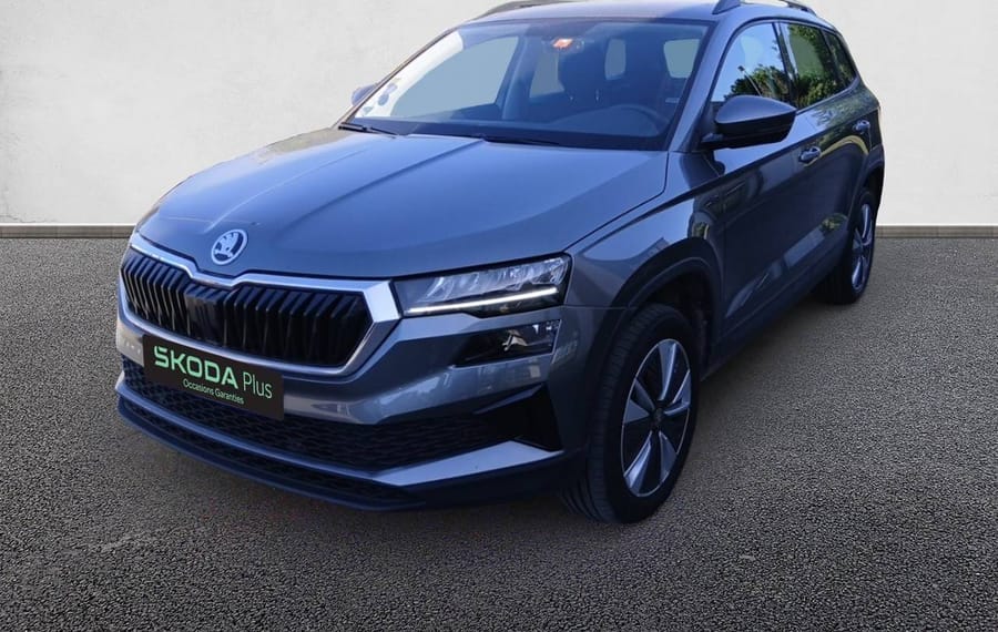 Choisissez votre skoda karoq chez CarGo Flex