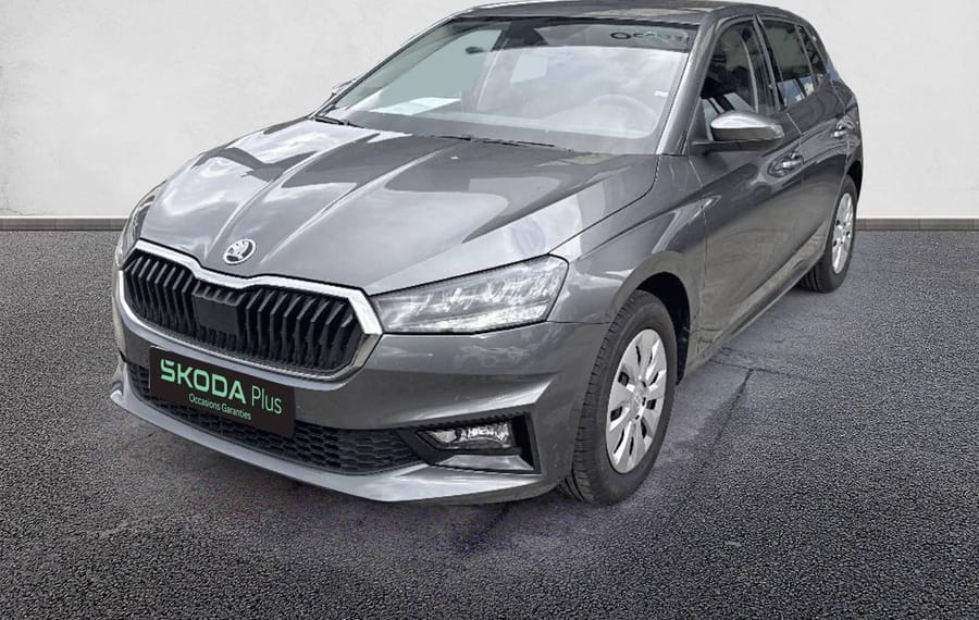 Choisissez votre skoda fabia chez CarGo Flex