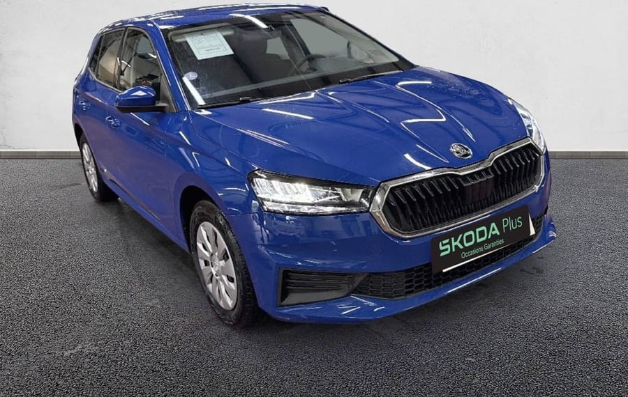 Choisissez votre skoda fabia chez CarGo Flex