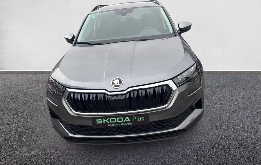 Choisissez votre skoda karoq chez CarGo Flex