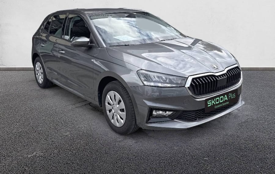 Choisissez votre skoda fabia chez CarGo Flex